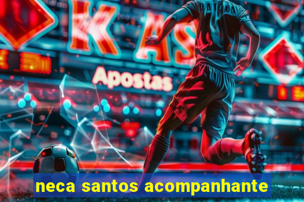 neca santos acompanhante